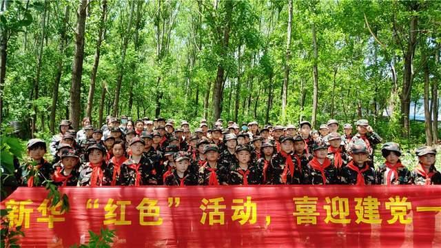 救援小棕兔